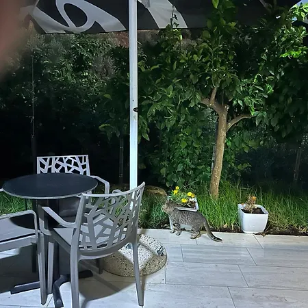 Rael * Vlorë